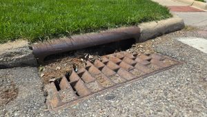 A Lakewood street sewer grate with grass and debris in it.